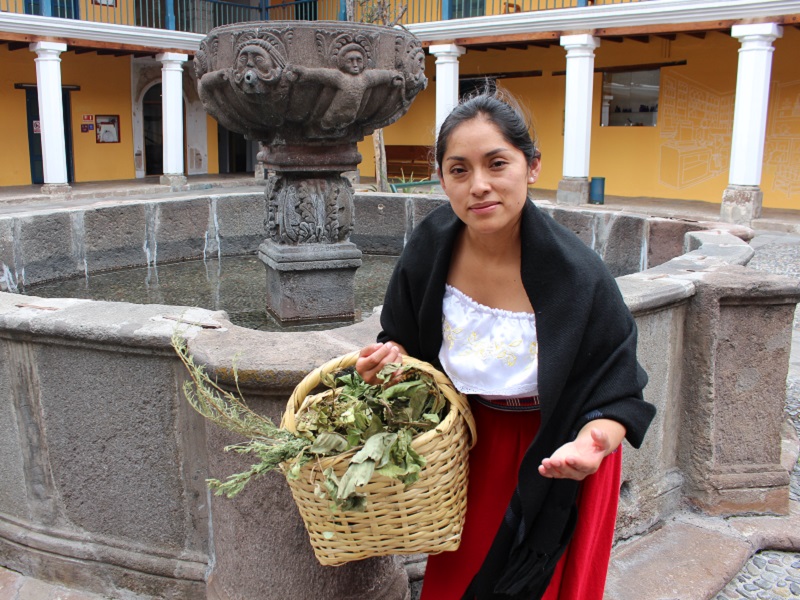 Viva la cultura en los museos de la ciudad