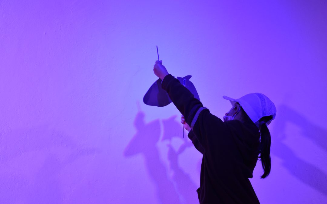 Explorando el océano: una actividad para disfrutar en el Yaku