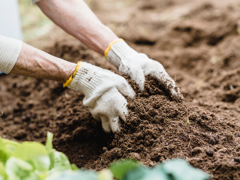 Conozca más sobre las huertas en el Museo de la Ciudad