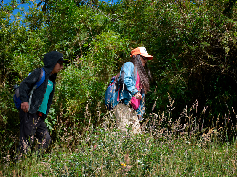 Conozca la Ruta de Humboldt siendo parte de un recorrido especial de verano
