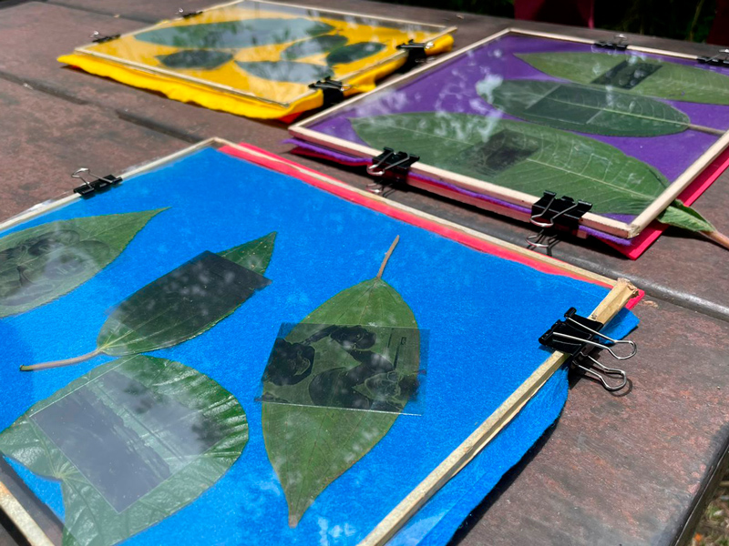 Museo del Agua abre talleres de fotografía y narrativas visuales