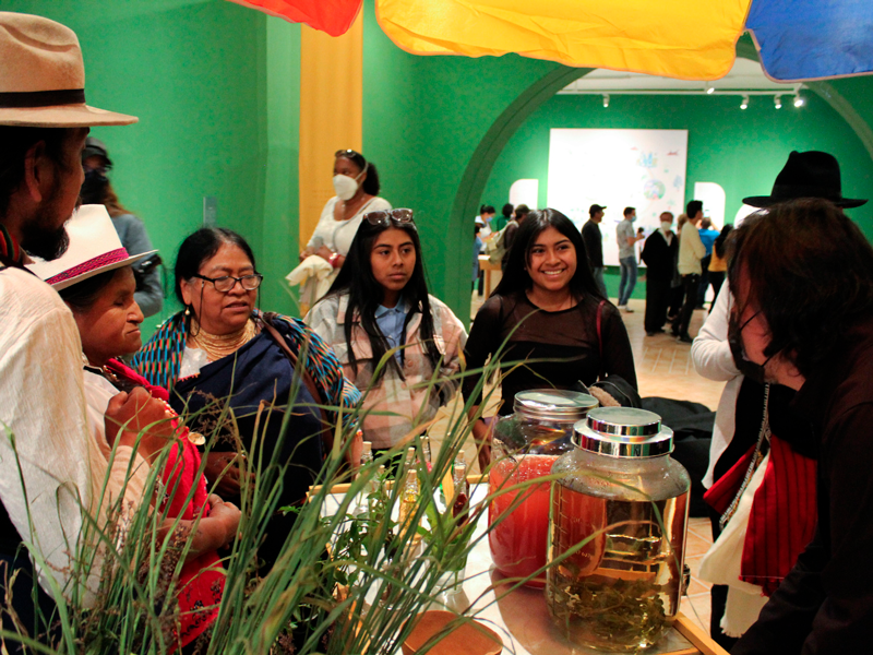 Cuidados colectivos y hierbas medicinales se abordarán en un círculo de palabra
