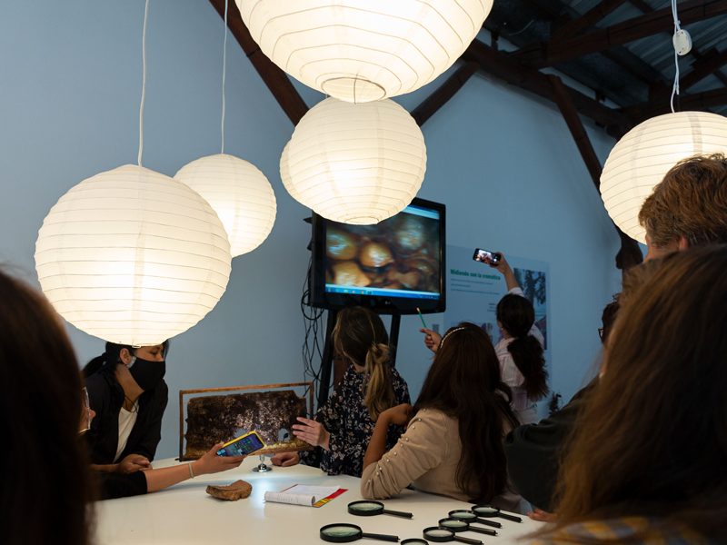 Paisajes Geométricos: una experiencia para repensar la educación