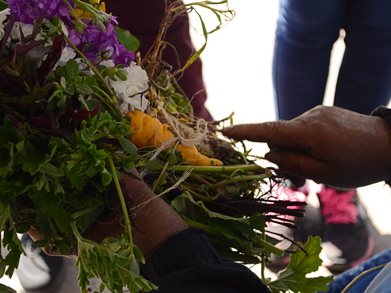 Semana del 22  al 28 de mayo 2023