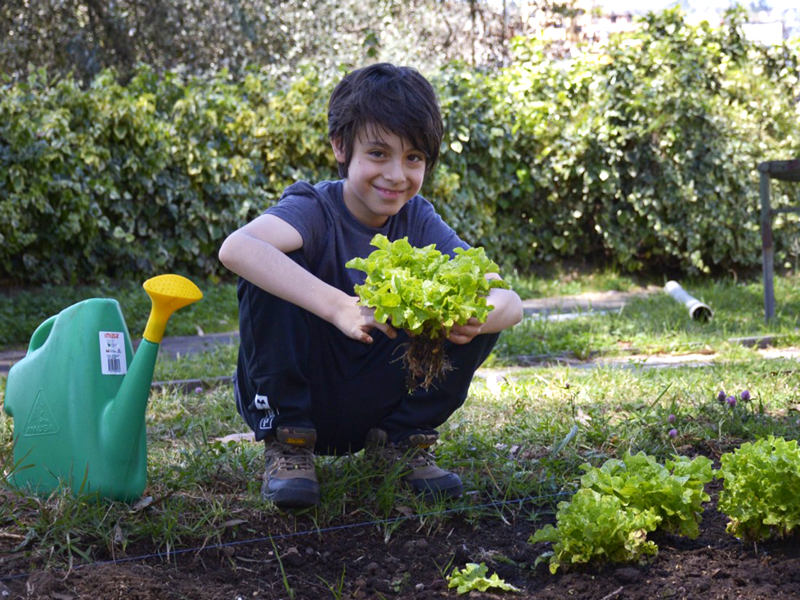 Semana del 31 de julio al 6 de agosto del 2023