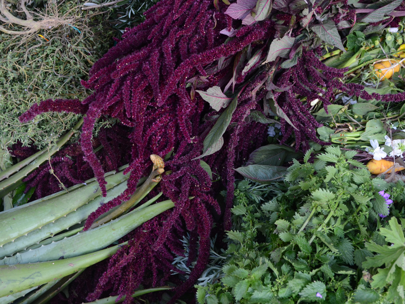 Sabores y magia – Especias, hierbas aromáticas y el gobierno de la canela