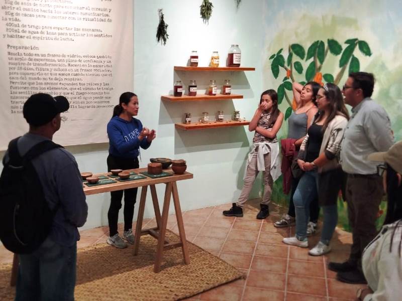 Taller educativo: Herbolaria sensorial.