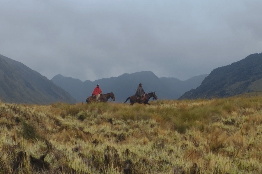 Páramos: Acciones colectivas frente a sus principales amenazas.