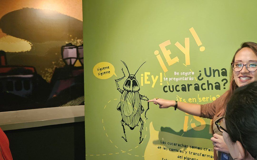 Semana del 22 al 28 de enero 2024