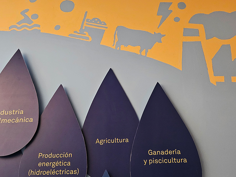 Semana del 08 al 14 de enero 2024