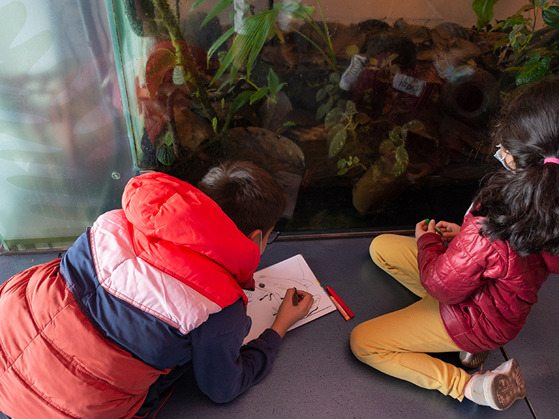 Niños, niñas y jóvenes están invitados a ser parte de los Clubes de Ciencia del MIC