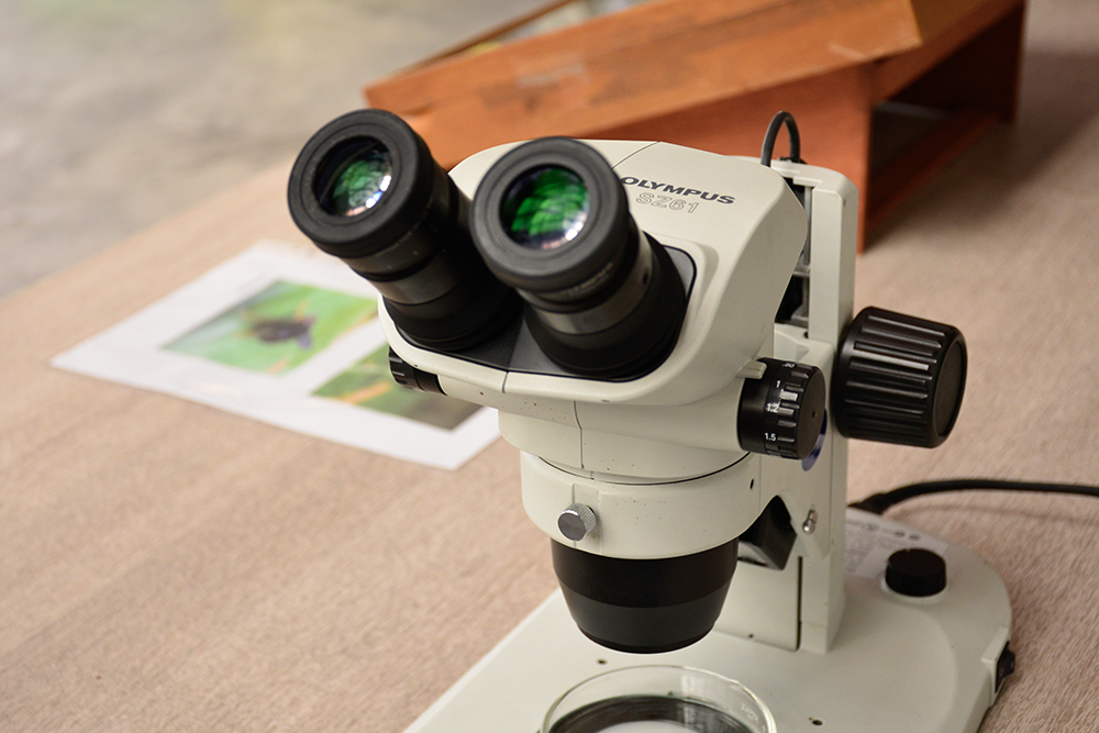 Convocatoria co-diseño para exposición temporal interactiva de Divulgación Científica