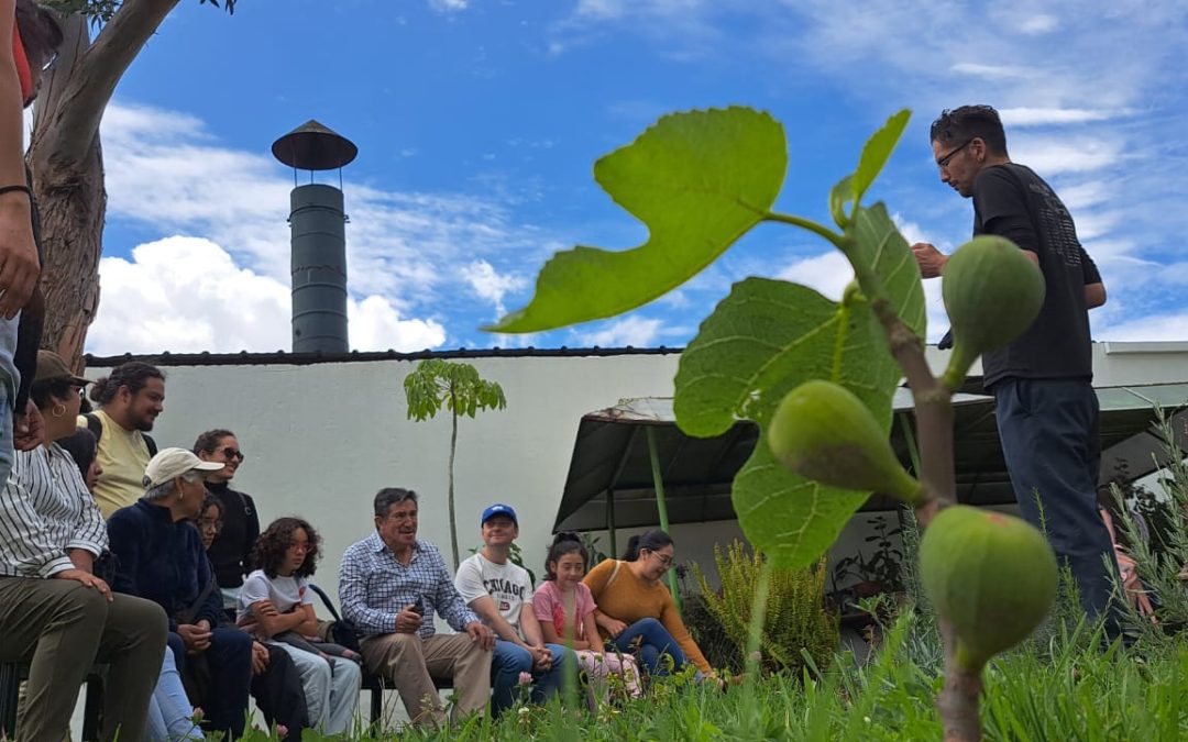 Semana del 03 al 09 de junio 2024