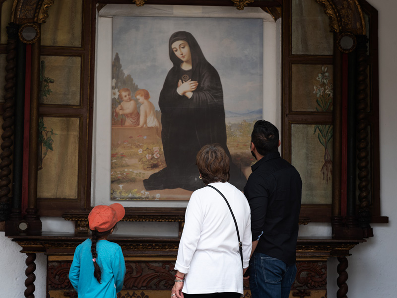 Una visita hecha a su medida: forme parte de Museo a la Carta