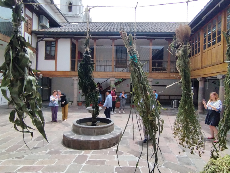 Remedios del Pasado, Cuidados del Presente: Un recorrido nocturno para disfrutar este verano