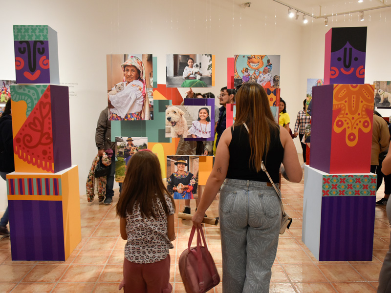 Un fin de semana para disfrutar de ¨Perros, gatos y San Juanes¨