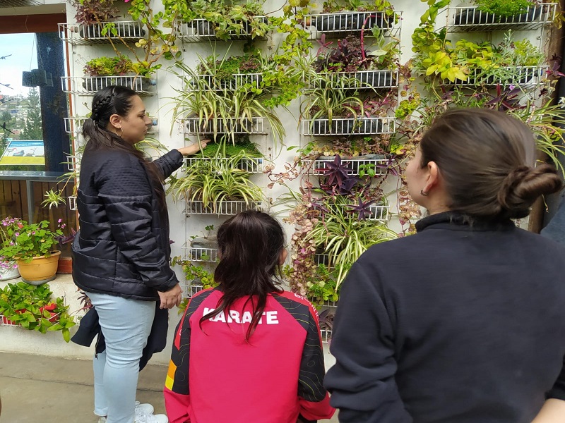 Realice de forma casera productos naturales en Yaku Museo del Agua