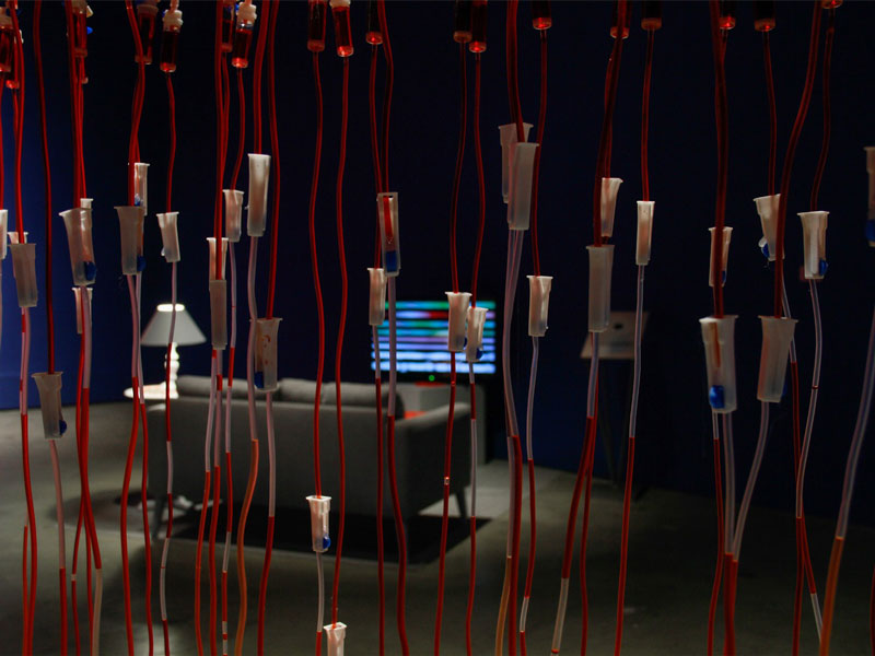 La Exposición «Positiva» se despide del Centro de Arte Contemporáneo