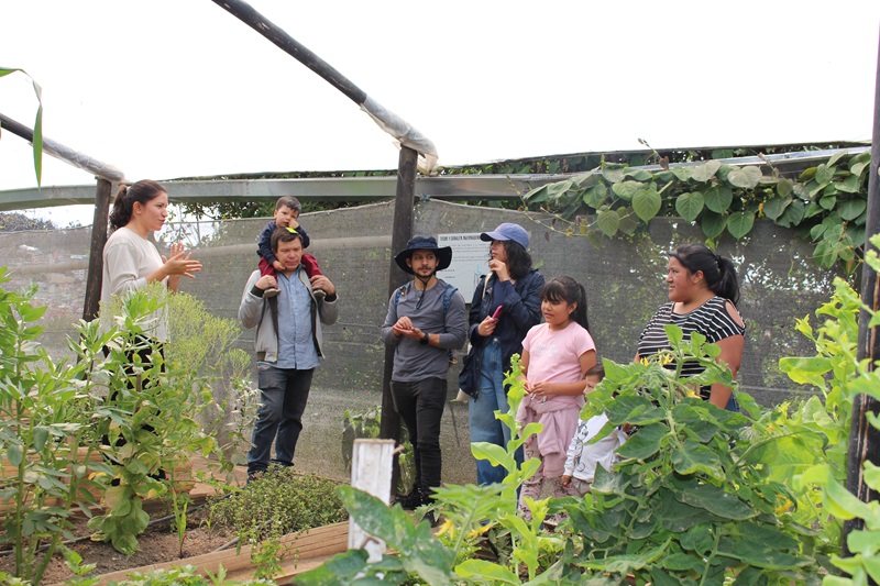 Semana del 27 de agosto al 01 de septiembre 2024