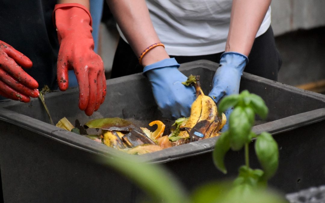 El Compostatón: Una invitación para vivir la sostenibilidad en la ciudad