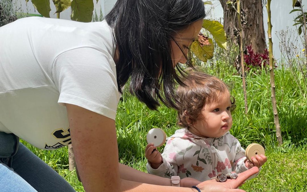 Alas y raíces: explorando el bosque nativo del MIC