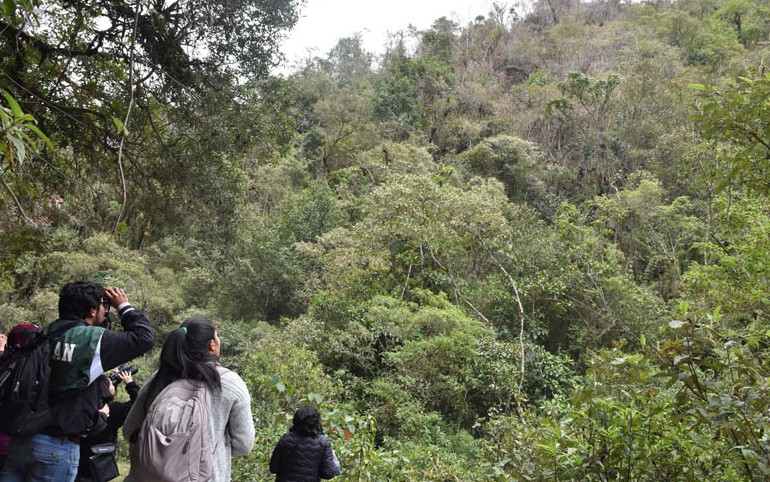 Pajareando en el Bosque Seco de Quito