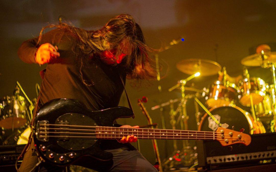 Quito en clave de rock: cultura, historia y música en el Museo de la Ciudad