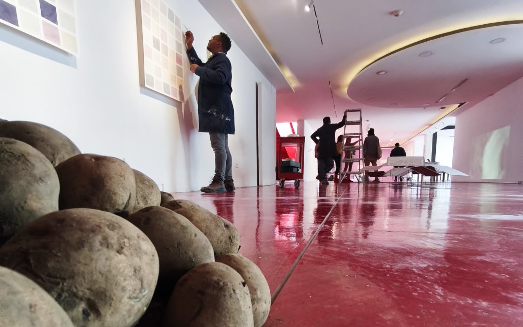 La papa como raíz, cuerpo y archivo: nueva exposición en el Museo de la Ciudad