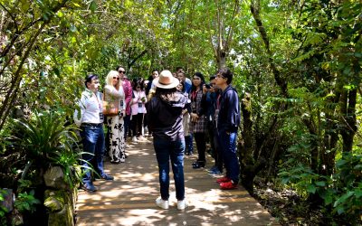 Este fin de semana en Yaku: viva Quito desde sus miradores, recorra bosques tropicales y disfrute de cine con conciencia ambiental