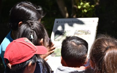 Agenda Cultural Fundación Museos de la Ciudad. Semana del 01 al 05 de octubre 2025