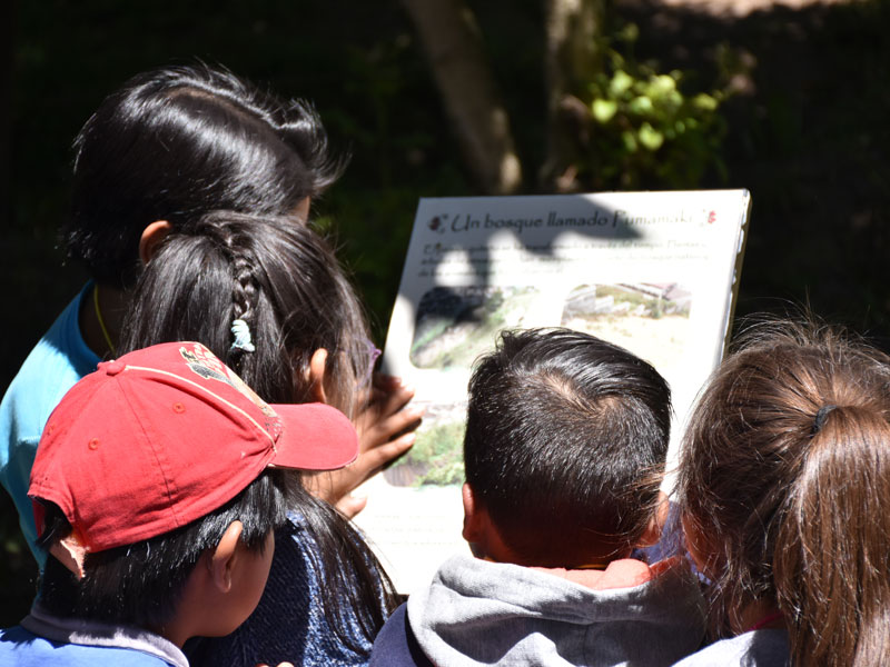 Agenda Cultural Fundación Museos de la Ciudad. Semana del 01 al 05 de octubre 2025