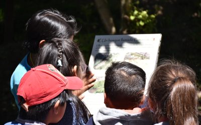 Todos los sábados viva recorridos familiares y experiencias mediadas siendo parte de “Yaku a la Carta”, en el Museo del Agua de Quito